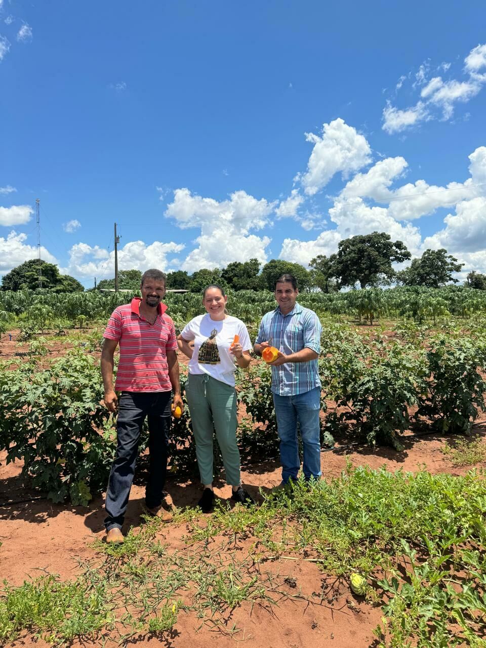 Imagem de compartilhamento para o artigo Nutricionista realiza visitas nas propriedades rurais que trabalham com a agricultura familiar em Figueirão da MS Todo dia